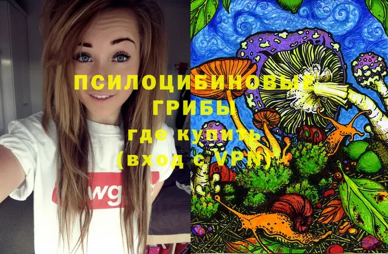 Псилоцибиновые грибы Psilocybe  где можно купить   Инта 